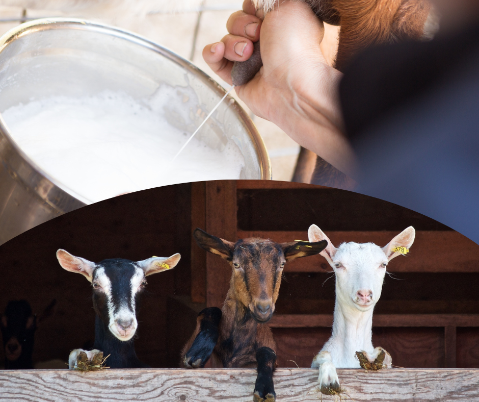 Every Product Has a Story — This One’s Extra Special